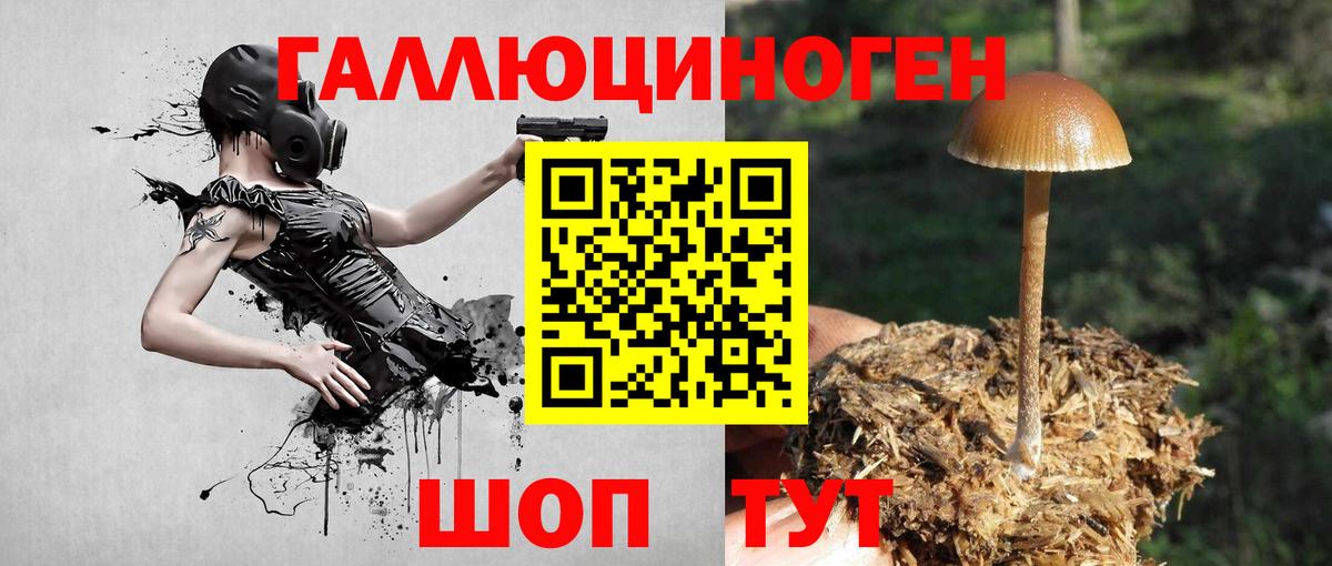 Псилоцибиновые грибы GOLDEN TEACHER Братск