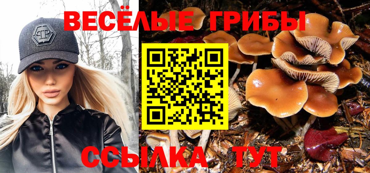 Галлюциногенные грибы Psilocybe  где купить   Братск  Вход с VPN 