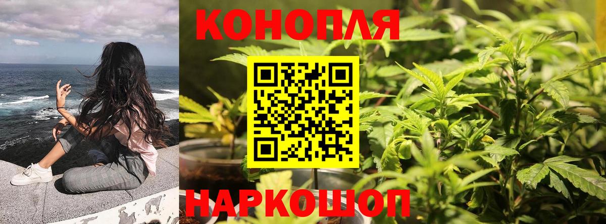 Каннабис планчик  МАРИХУАНА AK-47  Братск  Вход с VPN  Каннабис OG Kush 